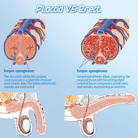 Intelligent Voice Control Penis Vacuum Pump with 4 Training Pressure & 4 Suction Modes #happenis
