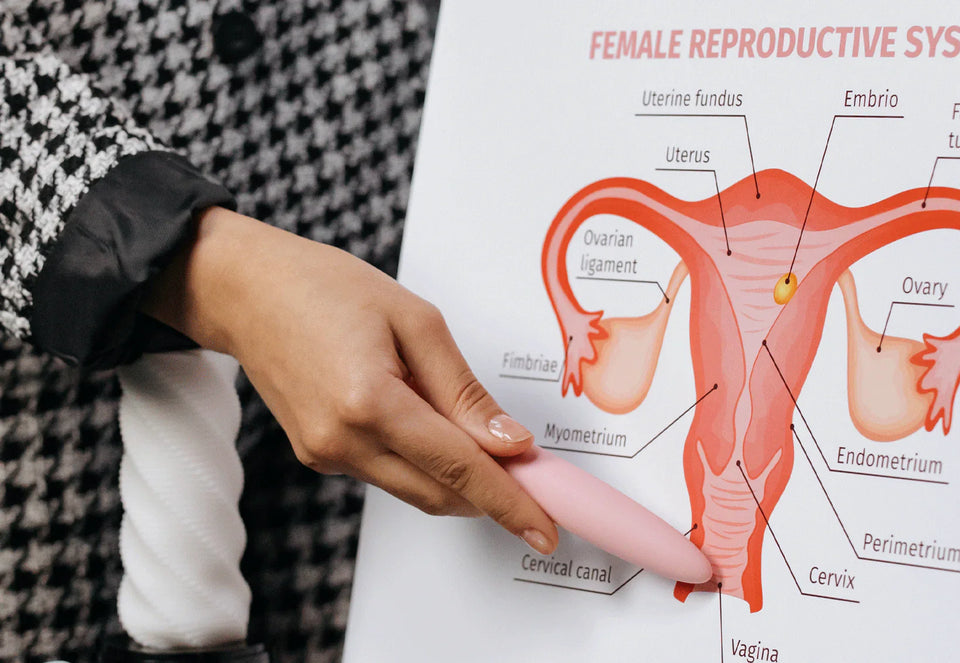 How Deep Is the Vagina? Myths Debunked and Facts You Should Know