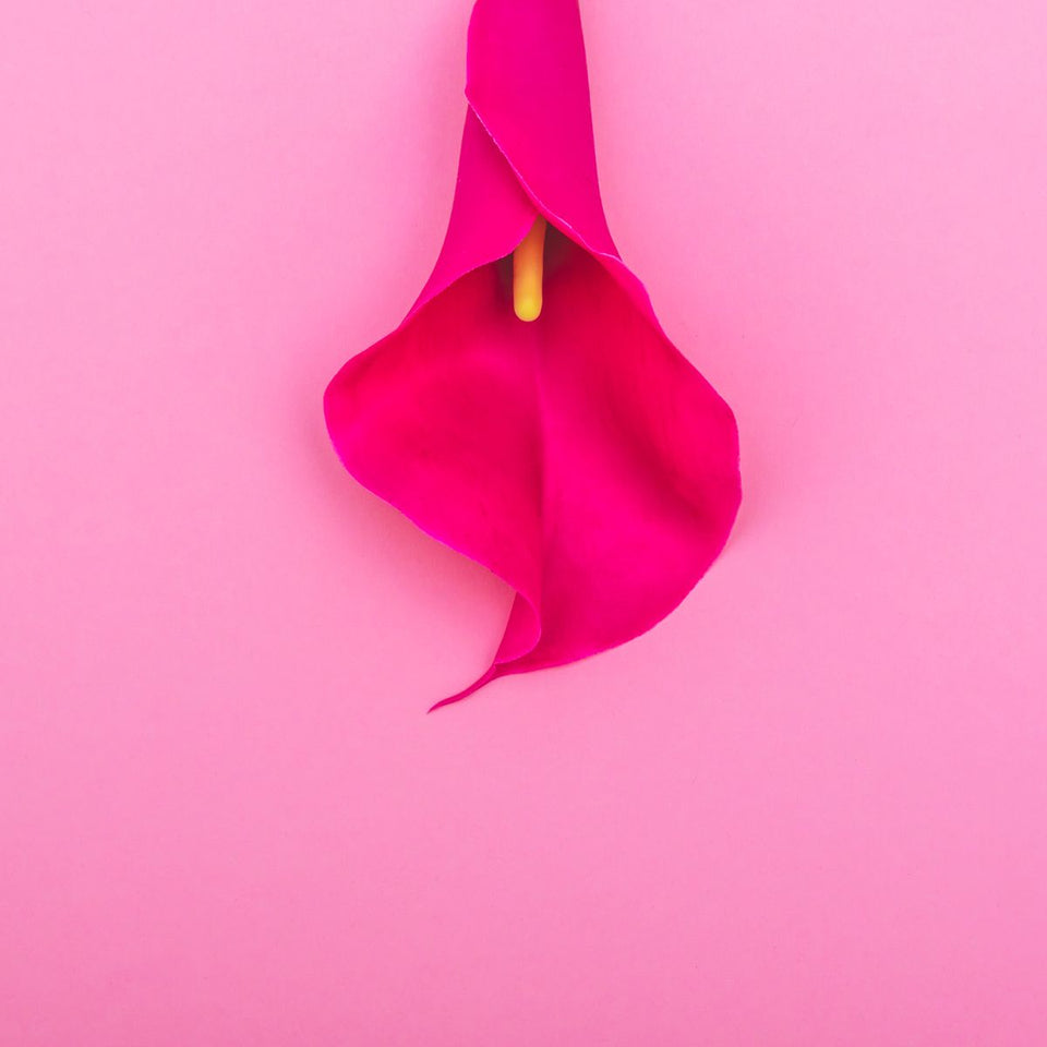 G-spot Vibrators