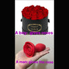 Vibrating Rose Glow Butt Plug with Remote Control 3.9 Inch