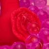 Lust bloom Dual Rose Vibrator with 10 Vibrating Modes