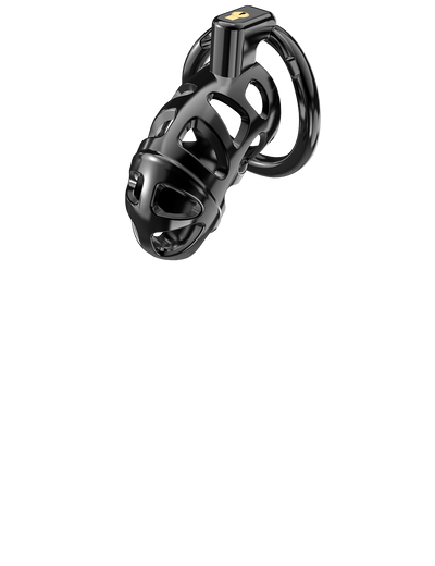 First Image