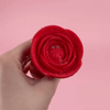 Vibrating Rose Glow Butt Plug with Remote Control 3.9 Inch