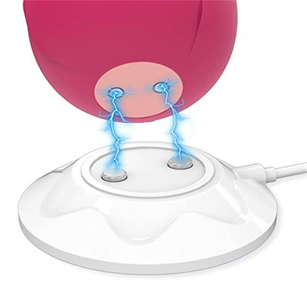Rose Toy Charger | Adorime